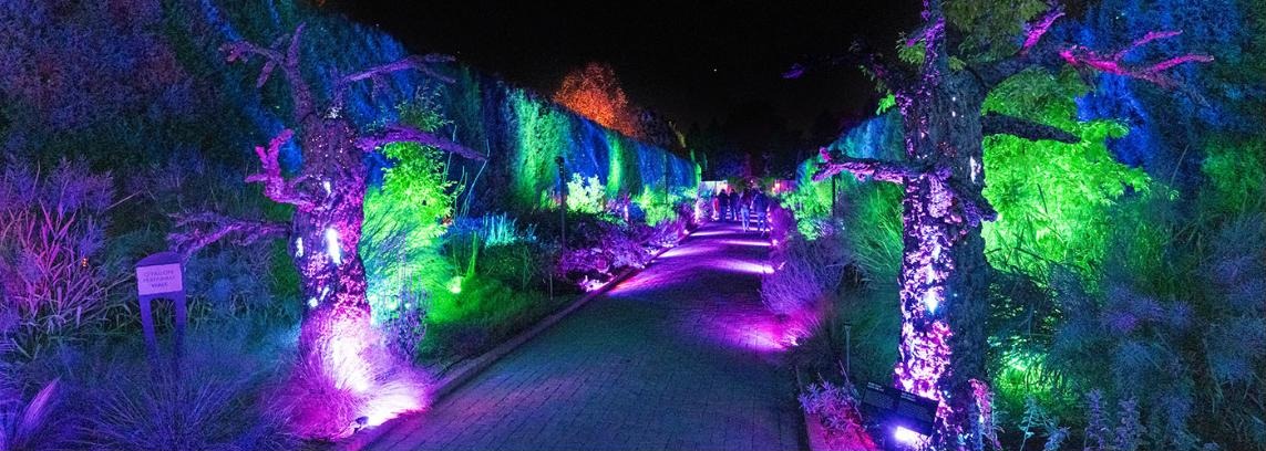 Glow at the Gardens illuminated path